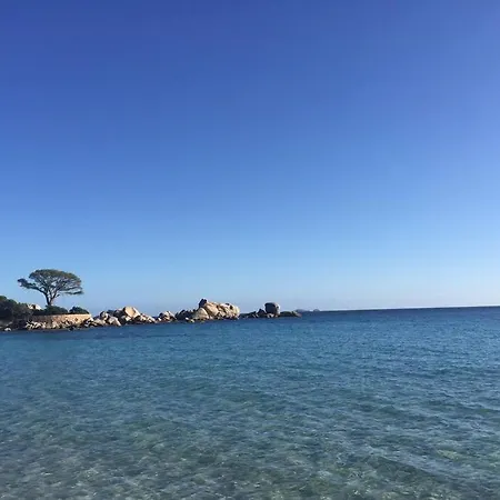 Domaine Arca 6 A 8 Personnes Porto Vecchio
